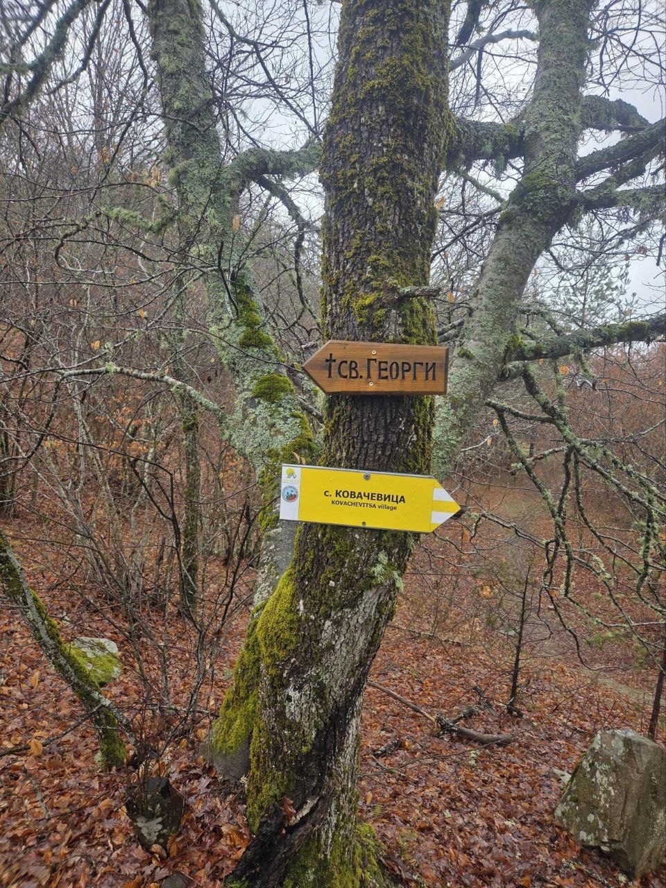 Traditional stone houses and bridge in Kovachevitsa village